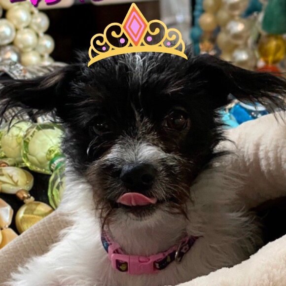 Unlisted Jewelry - May 9/25 - Picture 1 of 1